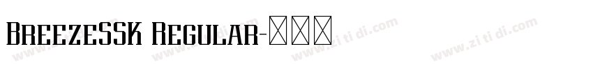BreezeSSK Regular字体转换 BreezeSSK Regular字体转换